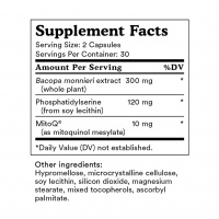 MitoQ Brain 60 Capsules EXP.2026.10